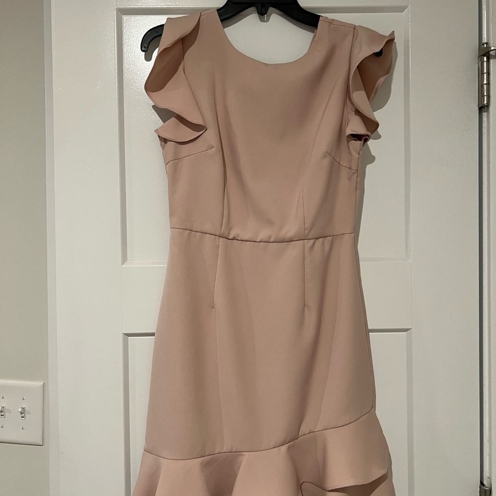 Elegant Ruffle Sleeve Dress in Blush Color